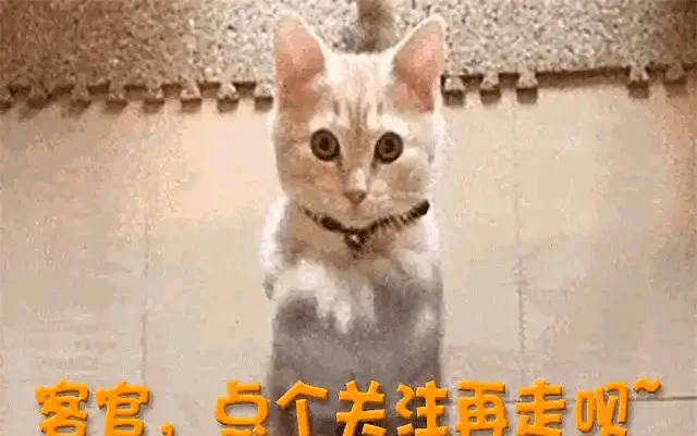 alt, 未来将如何